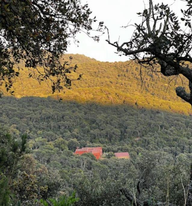 Masia Can Castellar Sant Iscle De Vallalta Zewnętrze zdjęcie